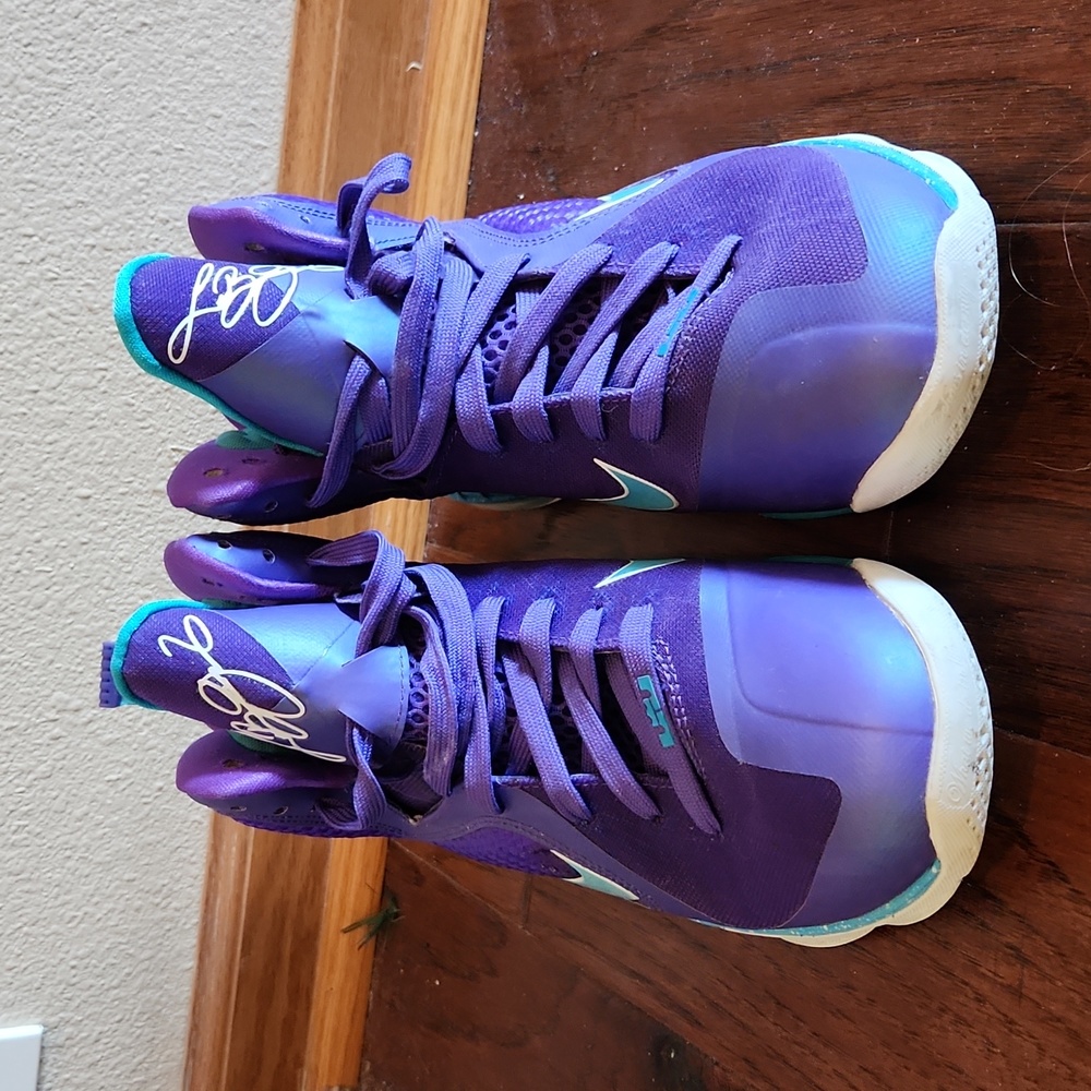 Nike LeBron 9 Summit Lake Hornet Men's 8